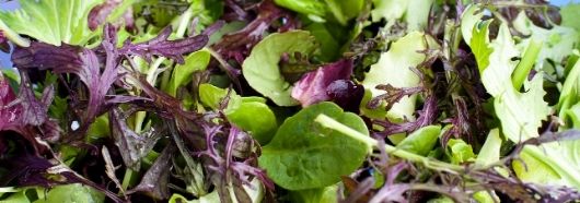 Zielone liściaste warzywa wspomagają leczenie przyczyny łuszczycy.