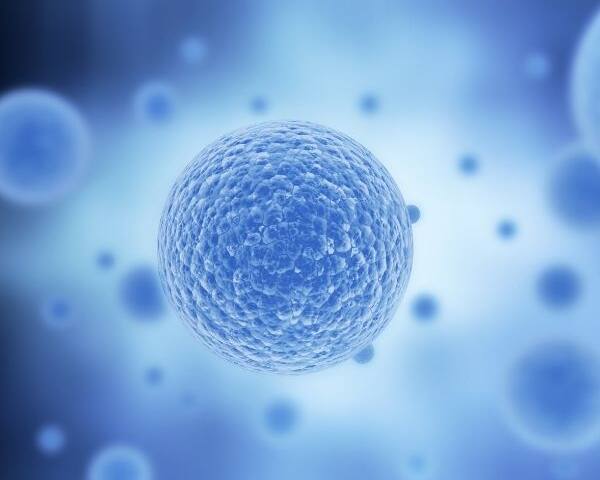 Komórki macierzyste - odmładzanie Medycyna Regeneracyjna