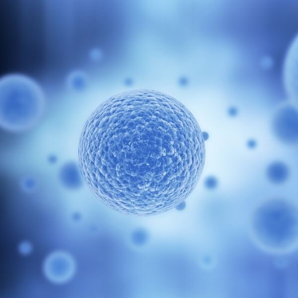 Komórki macierzyste - odmładzanie Medycyna Regeneracyjna